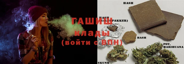 прущие грибы Новодвинск