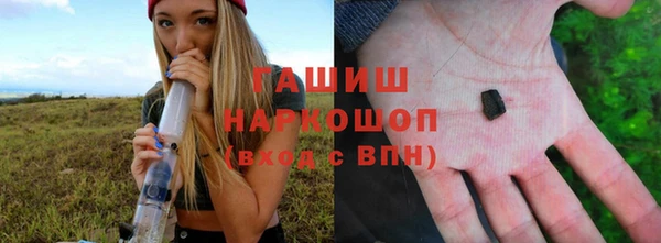прущие грибы Новодвинск