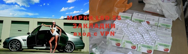 прущие грибы Новодвинск