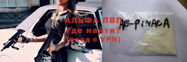 крисы Новозыбков