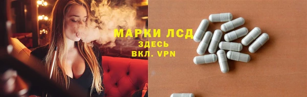 индика Новокубанск
