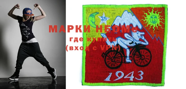 индика Новокубанск