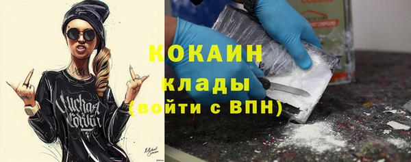 крисы Новозыбков