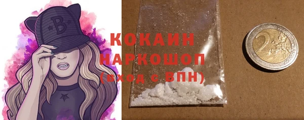 прущие грибы Новодвинск