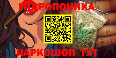 альфа пвп Волгодонск