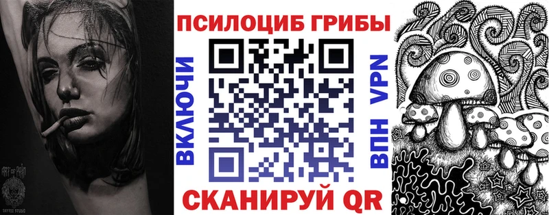 магазин продажи наркотиков Ивантеевка OMG как зайти Псилоцибиновые грибы Psilocybine cubensis