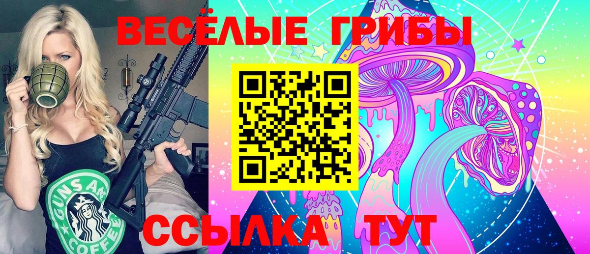 Псилоцибиновые грибы Cubensis  купить наркотики сайты  Псилоцибиновые грибы прущие грибы  Ивантеевка 